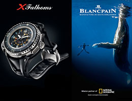 blancpain_cat